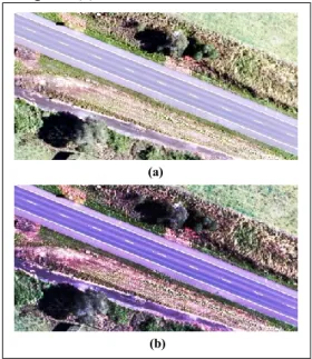 Figure 3.   (a) The raw aerial image, and (b) The LUT enhanced mage. 