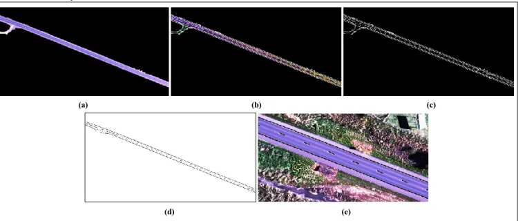 Figure 5.    (a) The extracted road surface, (b) Texture enhanced road surface, , (c) Linear feature extracted result, (d) Extracted road lane feature, (e)  Extracted road lane (black) overlapped on the raw image