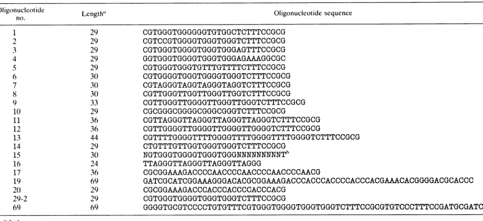 TABLE 2. Summary of binding and competition studies witholigodeoxynucleotides