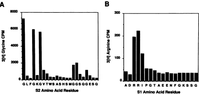 FIG. 7.Theinradioactivity.sequencing. wheat Amino-terminal sequence analysis of the S2 and S1 proteins