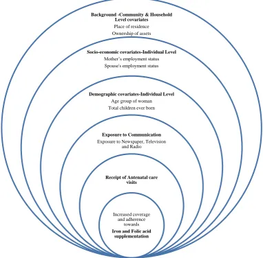 Figure 1: Conceptual framework. 