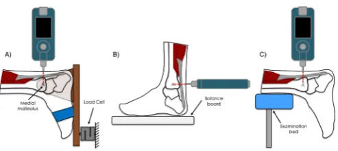 Figure 1 Schematic of the experimental setup. (A) Isometric contractions: the foot was securely attached to a dynamometer with a wooden board at a fixed angle of 0° of dorsiflexion
