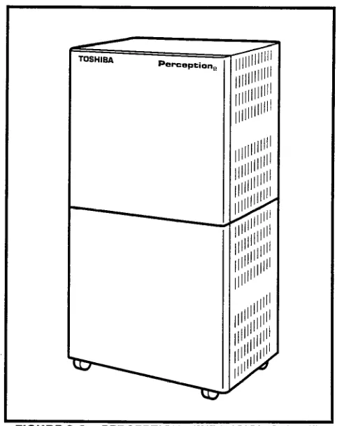 FIGURE P-2-PERCEPTION, 