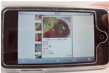 Table 1: Example of menu data