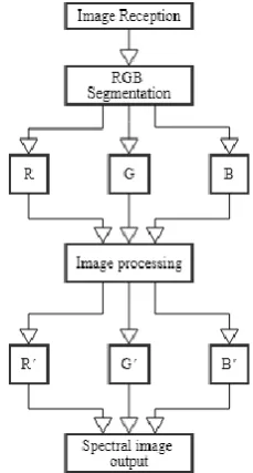 Figure 1 shows the block diagram of the image conversion, the original image is separated into its RGB components, then the filtering is done in the space domain, by the convolution, resulting in the spectral components R'G'B' in non-true color