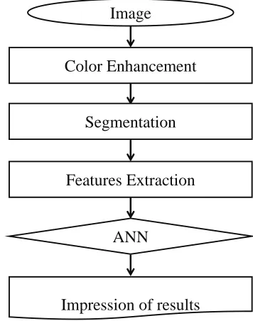 Fig. 1: Processing algorithm 