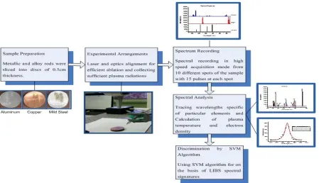 Figure 1  Methodology flow chart 