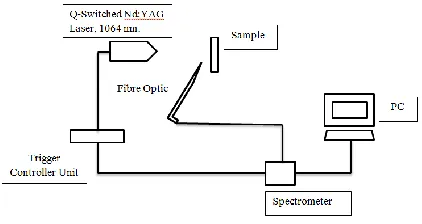 Figure 1 The schematic diagram of the experiment  