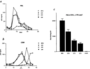 FIG. 2.lacZofofreplicationindependent100 blue 5 Phenotypes of the HIV-1 central PPT mutants