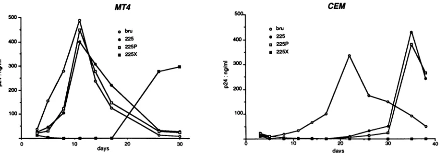 FIG. 5.fromMT4 Kinetics of nuclease Si cleavage of unintegrated DNA HIV-1 central PPT mutants