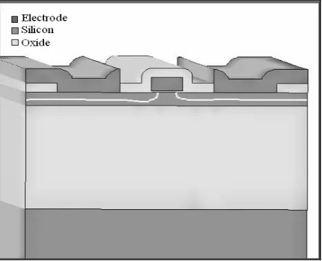 Fig. 10: Cross-section view of the device structure after completion of metallization process