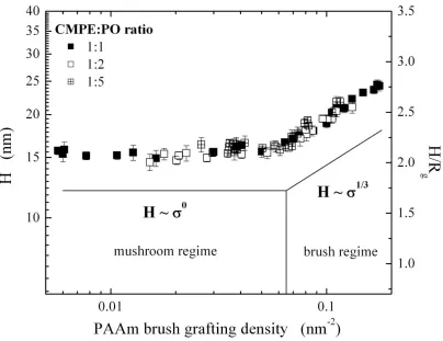 Figure 2.3 .  Wet thickness of the poly(acrylamide) (PAAm) brush (H) as a function of the PAAm brush grafting density