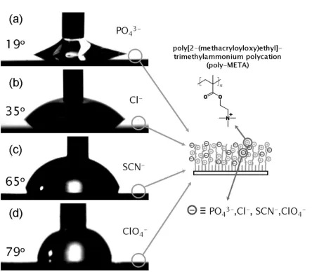 Figure 2.8. 