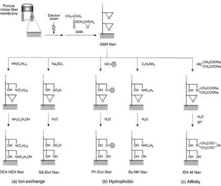 Figure 2.17.  Preparation scheme of functional polymer brush grafted onto the pore surface of a porous hollow-fiber membrane