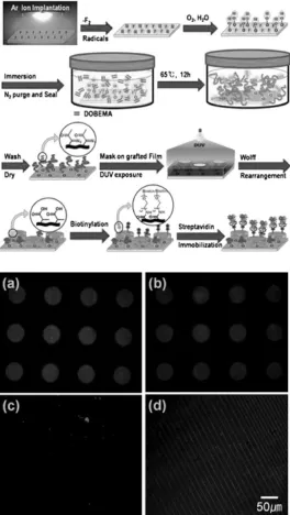 Figure 2.21.  (top panel) Illustration of graft polymerization, UV exposure, and protein immobilization