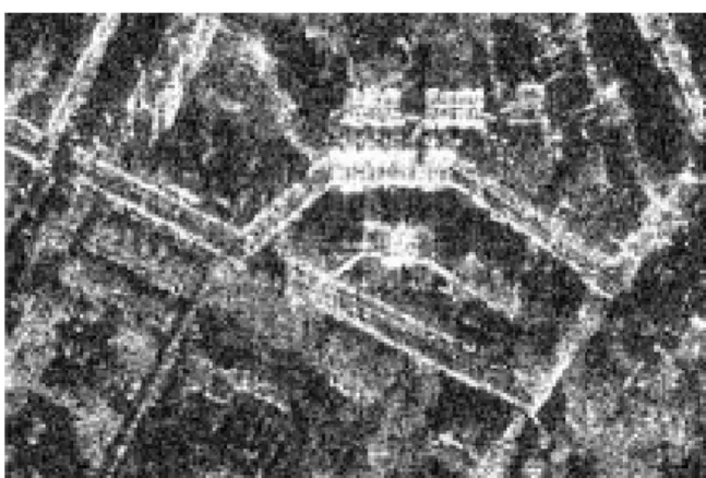 Figure 3.5: Double bounce effect in Hannover urban area, TerraSAR-X image Usually, SAR imagery are affected by a high level of noise (speckle) due to the inherent nature of radar backscatter