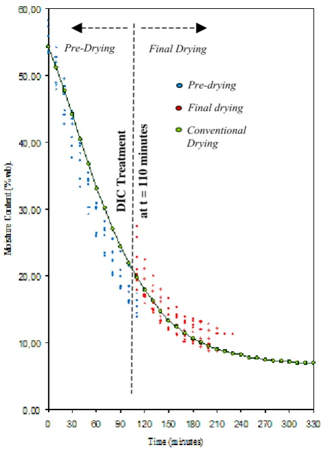 Figure 4. The profile of the moisture content change during pre- and final-drying. 