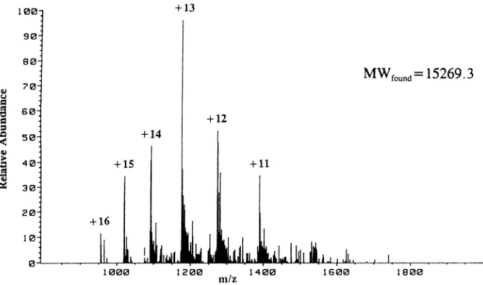 FIG. 7.determinedthe86).isolated Amino acid sequence of p24. Peptides derived from trypsin and endoproteinase Glu-C proteolytic digestions of p24 (Fig