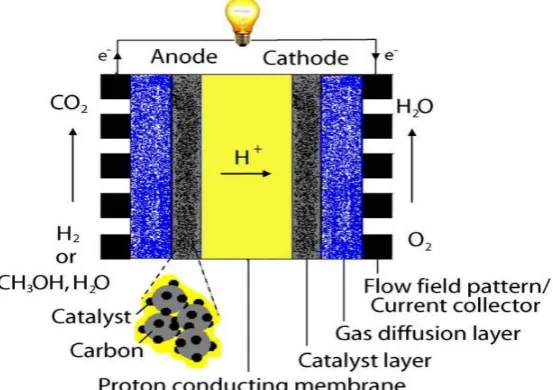 Figure 1.1 A schematic diagram of a PEMFC (Harvey et al., 2008). 