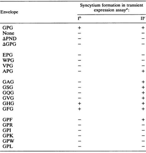 FIG. 4.various2.0lope(lane Titration of PCMVREV and expression of GAG enve- variant. COS cells were transfected with 5 pLg of pGAG and amounts of pCMVREV, i.e., 0 (lane 1), 0.031 (lane 2), 0.062 3), 0.125 (lane 4), 0.250 (lane 5), 0.50 (lane 6), 1.0 (lane 7), and (lane 8).
