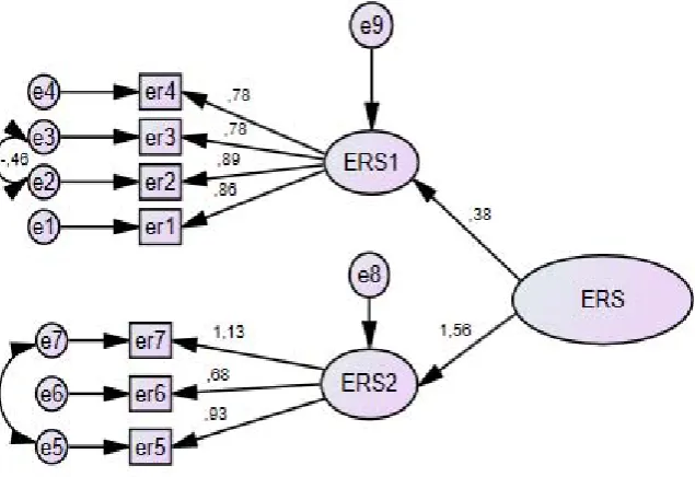 Figure 1. Erasmus Scale CFA  