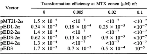 TABLE 1. Transfection efficiency of dicistronic vectorsinto CHO cells