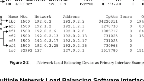 Figure 2-2 Network Load Balancing Device as Primary Interface Example (netstat -in)
