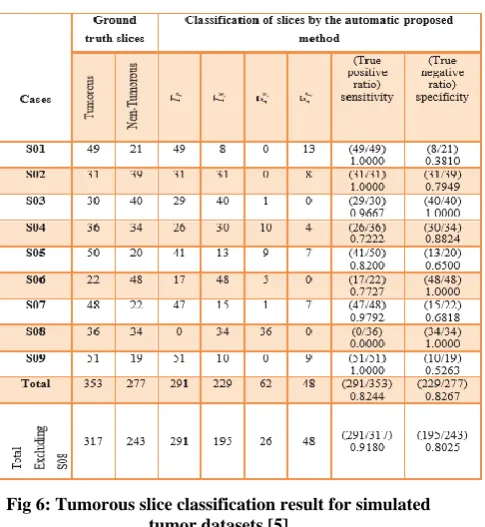 Fig 6: Tumorous slice classification result for simulated tumor datasets [5] 