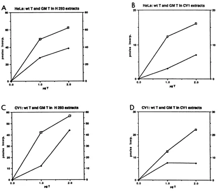 FIG. 7.producedproteinsSV40cell-producedrepresent Comparison of DNA replication in H293 and CV1 cell extracts promoted by either GMSV40 (GM T) or wild-type T (wt T) antigens in HeLa or CV1 cells