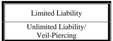 Figure 1. Limited Liability – Veil-Piercing 