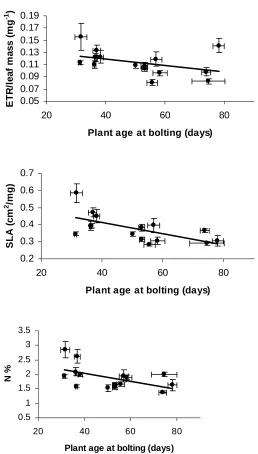 Figure 2. Marginally significant correlation with plant age at bolting and photosynthetic  correlations with plant age at bolting and specific leaf area, SLA and leaf nitrogen electron transport rate, ETR/leaf mass (mg-1) (R20.25, p=0.06); but significant 