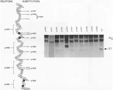 TABLE 1. Biological activity in domain 1