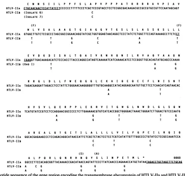 FIG. 4.withwithgp2lsamplesadditionalItandamplification can Gel electrophoretic analysis after XhoI digestion of PCR products