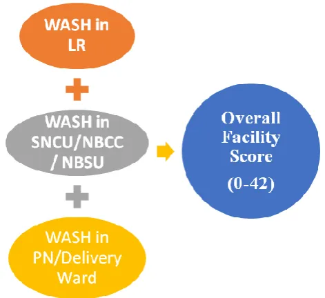 Figure 1: Scoring pattern of WASH index. 