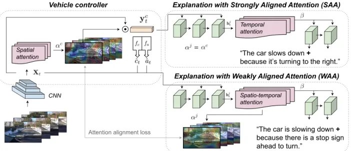 Figure 4.2: Vehicle controller generates spatial attention maps α c for each frame, predicts acceleration and change of course (ˆc t , ˆa t ) that condition the explanation