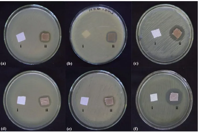 Figure 7. Antimicrobial Testing of Nanosilver Coated Cotton vs Controls [69] 