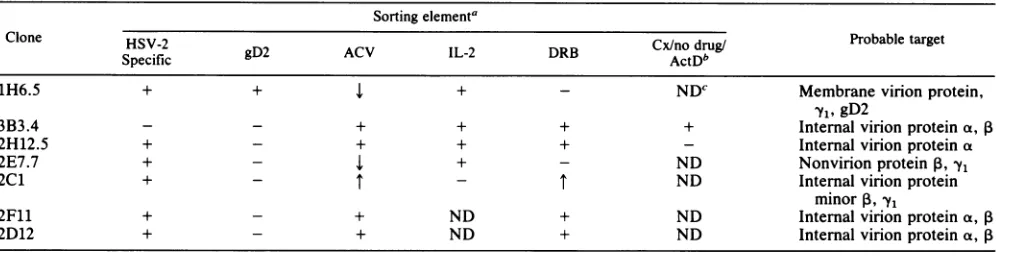 TABLE 7. Assignment of probable CTL target antigens or transcription classes