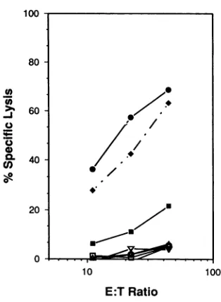 TABLE 1. Type specificity and HLA class restriction of sevenHSV-2-specific CTL clones