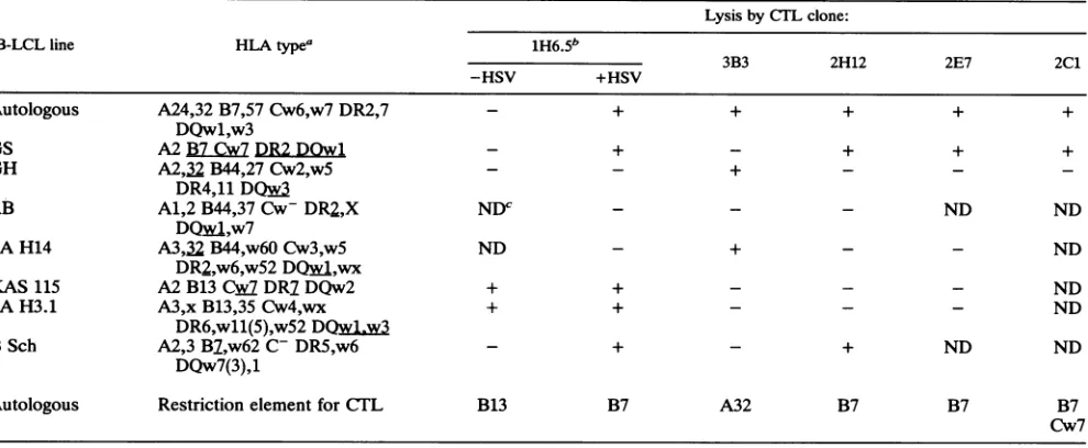 TABLE 2. Lysis pattern of HSV-specific CTL clones from patient JC for partially or fully HLA-matched B-LCL