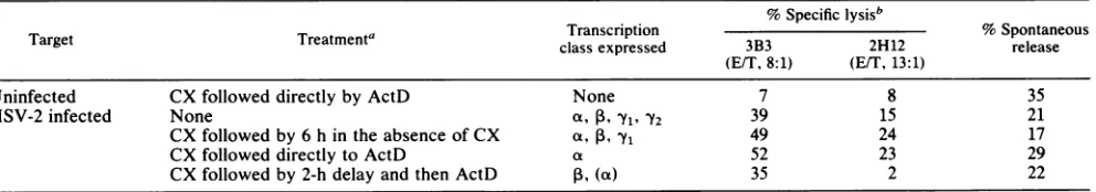 TABLE 5. Effect of DRB treatment of HSV-infected target cells on lysis by CTL clones