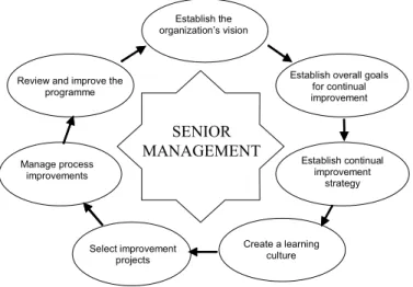 Fig. 1. A structured approach to a continual improvement programme. 