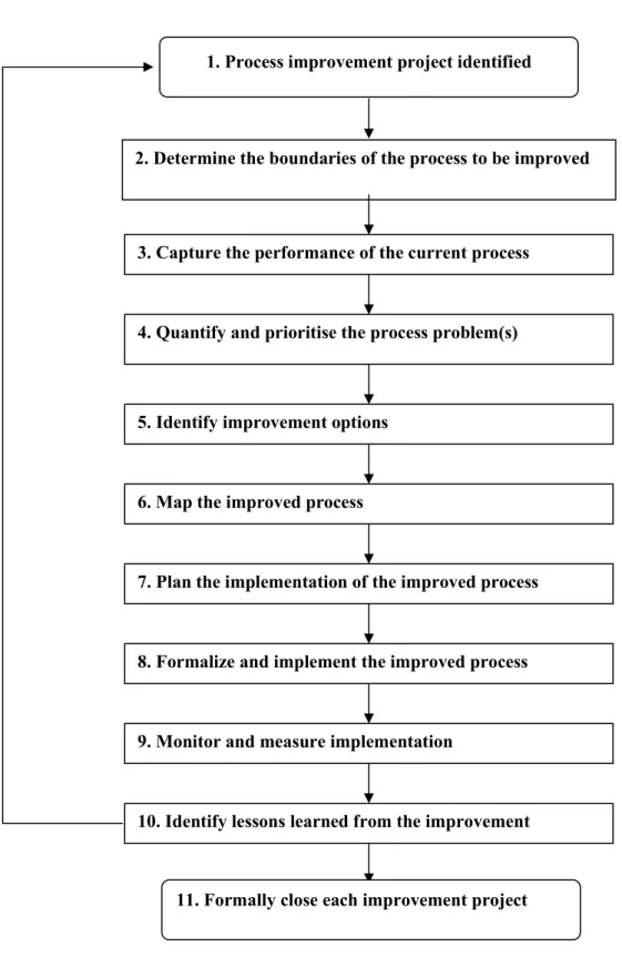 Fig. 3. The eleven steps of a continual process improvement project. 