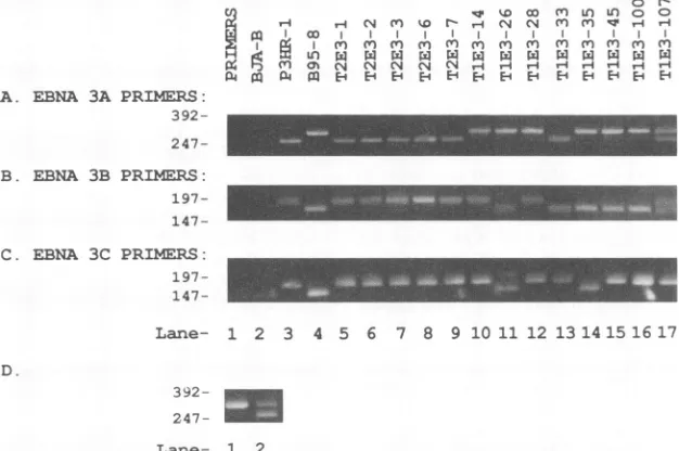 TABLE 1. Frequency of second-site recombination