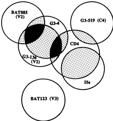 TABLE 2. Properties of neutralizing MAbs to the V2 region of HIV-1 gpl20a