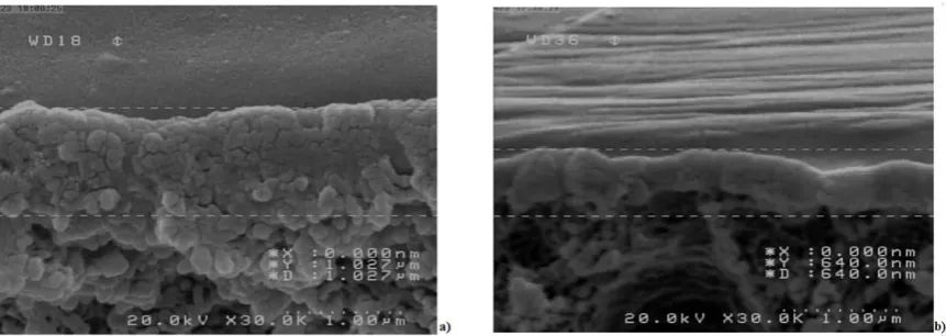Figure 4. Dense selective layer of a) PES/1wt.% rMWCNTs and b) PES/1wt.%fMWCNTs membranes