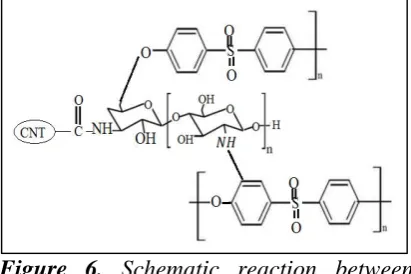 Figure 6.  Schematic reaction between fMWCNTs and polymer chains.  