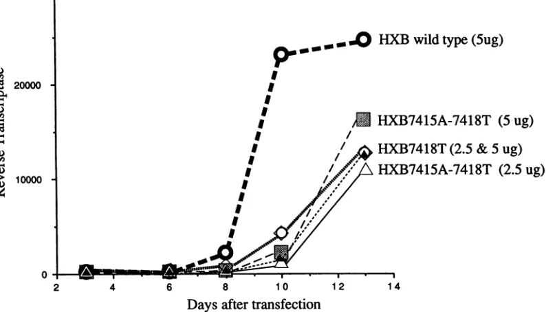 FIG. 5.alllistedspecific;sequenceIlb the Sequence specificity and conservation in and around the region of the CAR/RRE
