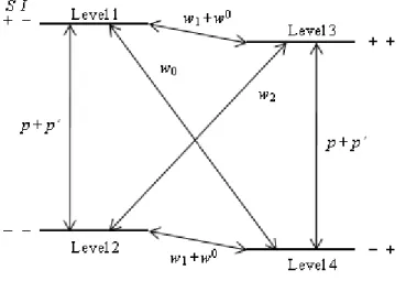 Figure  1.1.  Four  level  energy  diagram  for  two  coupled  spin  ½‘s,  appropriate  for  an  electron  and  nucleus with a positive gyromagnetic ratio such as  1 H