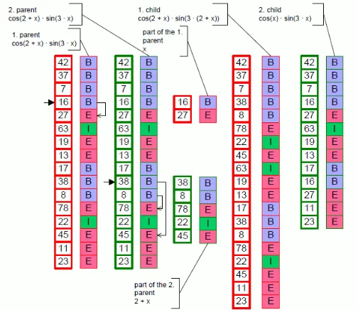 Fig. 3. Crossover in GE with backward processing [6]