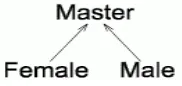 Figure 4.  The population model